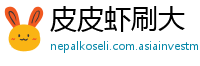 皮皮虾刷大