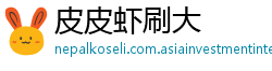 皮皮虾刷大